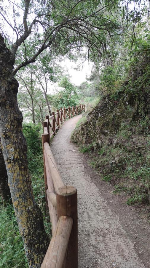 Apartmán Puente Viejo De Buitrago Casa Encina Buitrago del Lozoya Exteriér fotografie